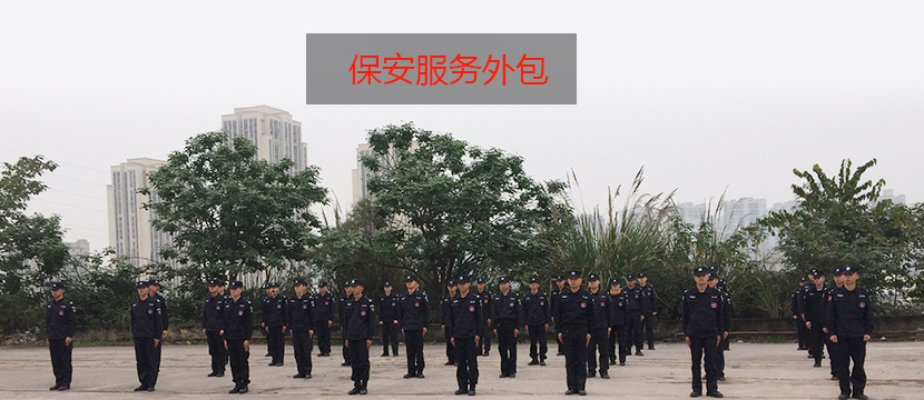 在中国人力资源草莓视频下载黄成为了主流的选择
